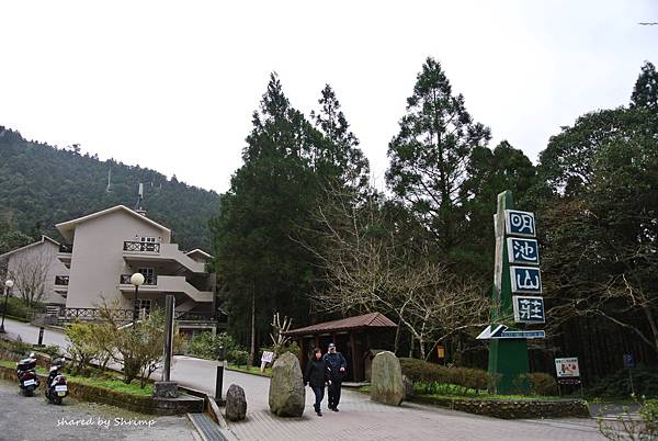 DSC_3615.JPG DSC_3615.JPG
