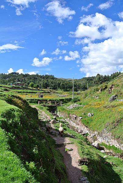 DSC_5529.JPG DSC_5529.JPG