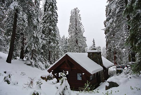 DSC_7818.JPG DSC_7818.JPG
