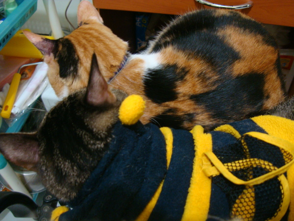 980111 (3).JPG 980111 (3).JPG