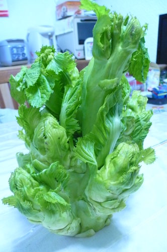 N8wGf2oUNraN6.g6BeIecA