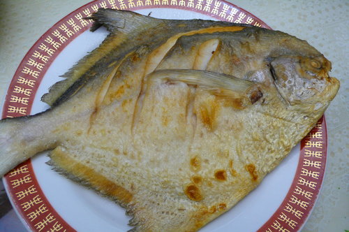 r9WOA6Tk0XIROB4Dy64sMw