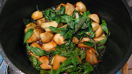 uanm_Su_3GqZeUM0j3fxCw (1)