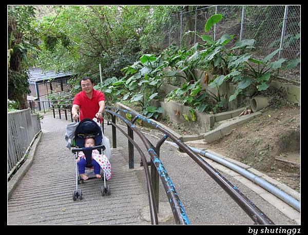 121103 3Y0M c 沖繩兒童王國 zoo (70)