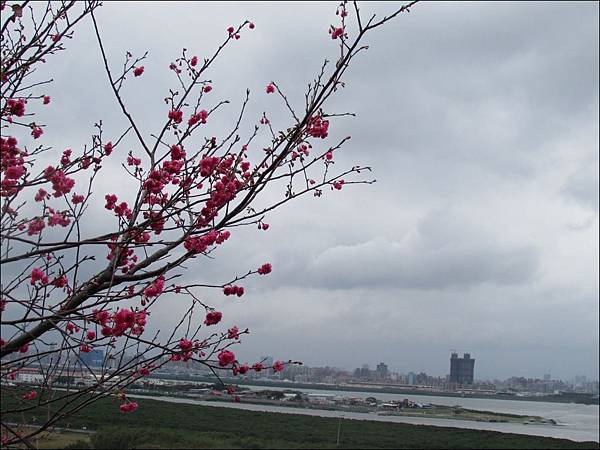 IMG_1425.jpg