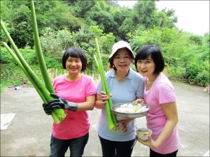 竹 (3).jpg