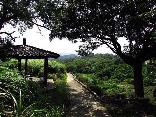 泉步道 (4).jpg