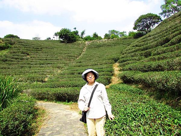 泉步道 (8).jpg