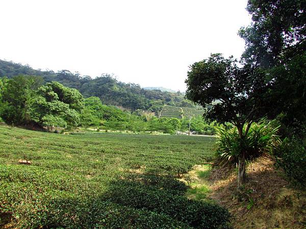 泉步道 (11).jpg