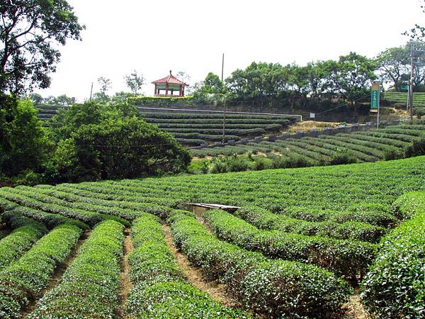 泉步道 (14).jpg