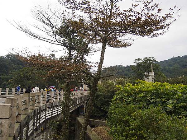 十分景 (20).jpg