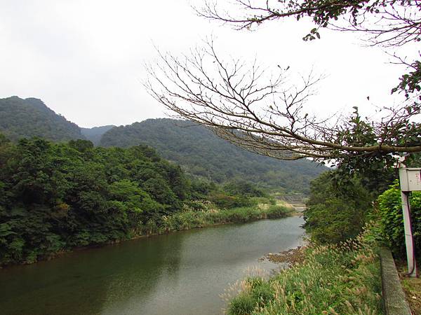 十分景 (21).JPG