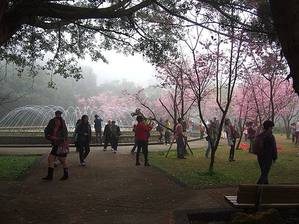 陽明山噴水池 (9).jpg