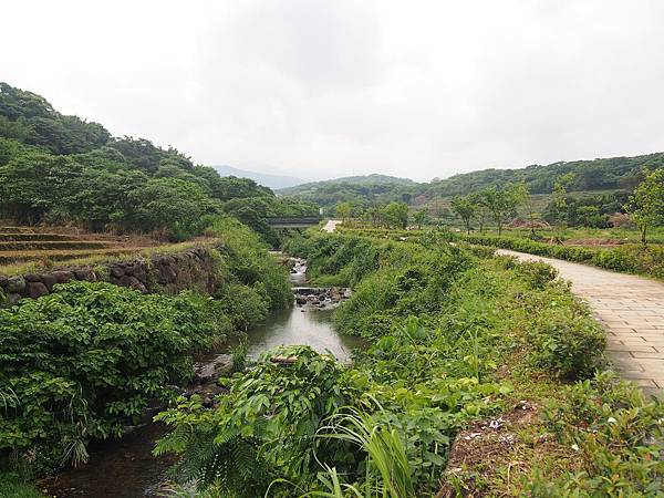 三生步道桐花 (1).jpg