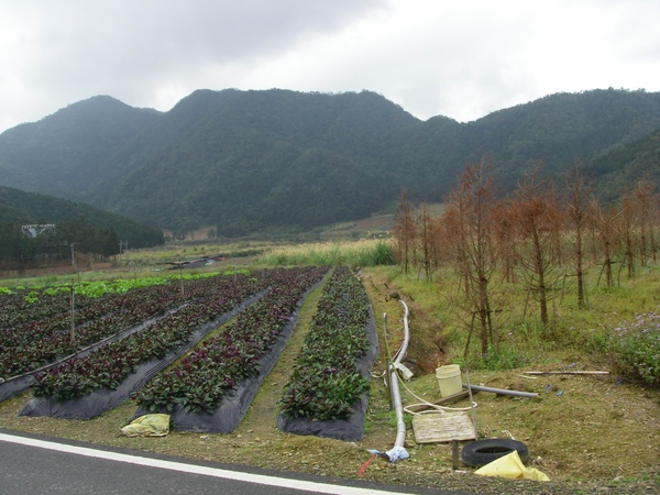 雙連埤