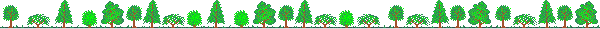 分隔線s.jpg 分隔線s.jpg