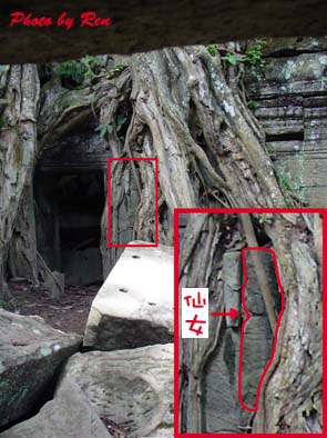 0531-ta prohm13.jpg