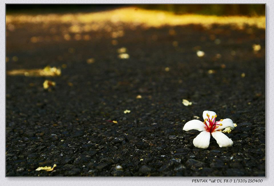 538220_439966046016423_177400749_n