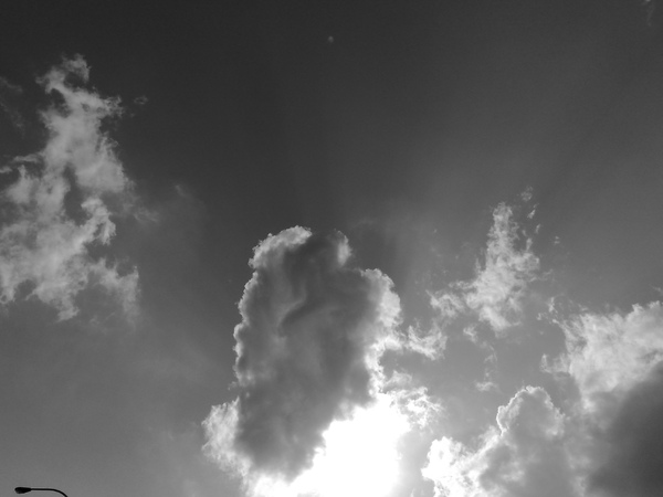20090116210.jpg 20090116210.jpg