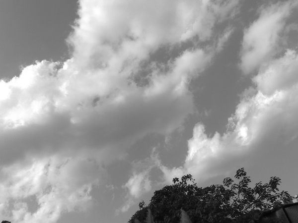 20090116220.jpg 20090116220.jpg