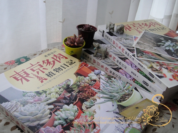 希莉安の東京多肉植物日記 希莉安の東京多肉植物日記