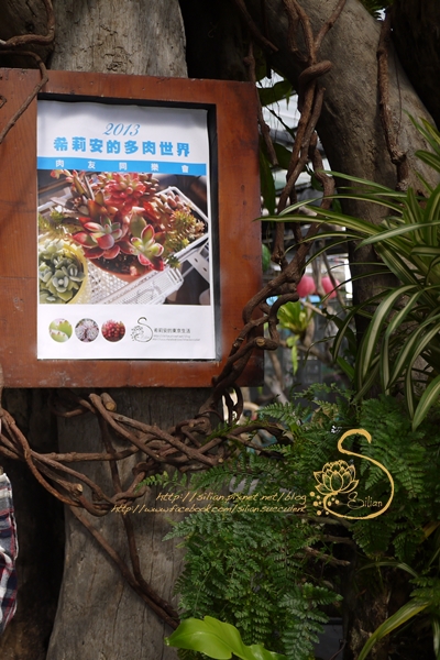 希莉安的多肉世界肉友聚會 希莉安的多肉世界肉友聚會