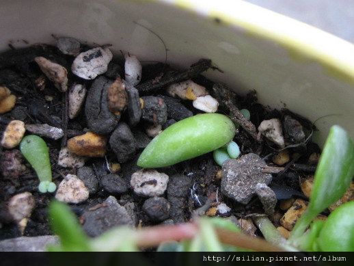 2008/10/10 2008/10/10