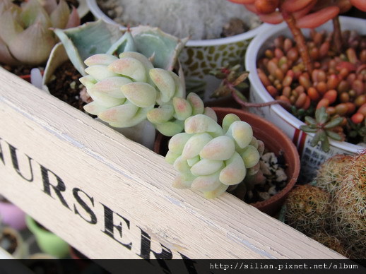 2010/11/27 2010/11/27