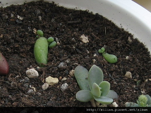 2008/10/14 2008/10/14