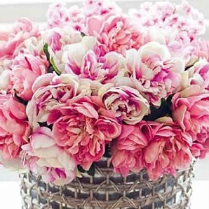 beautiful-bouquet-flowers-pink-Favim.com-825221 beautiful-bouquet-flowers-pink-Favim.com-825221