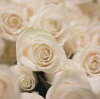 beautiful-bouquet-flower-flowers-perfect-Favim.com-358484 beautiful-bouquet-flower-flowers-perfect-Favim.com-358484