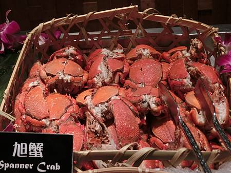 CIMG0260.JPG CIMG0260.JPG