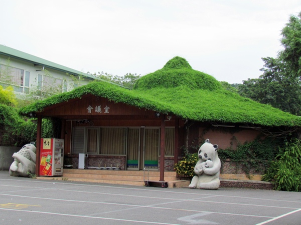 19.JPG