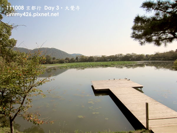 大覺寺 大澤池(2).jpg