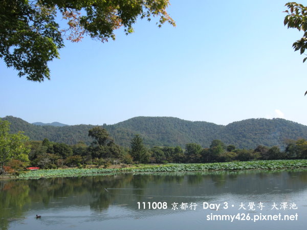 大覺寺 大澤池(8).jpg
