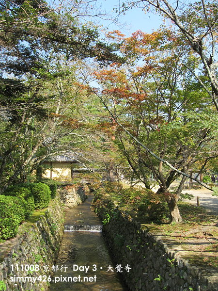 大覺寺(25).jpg
