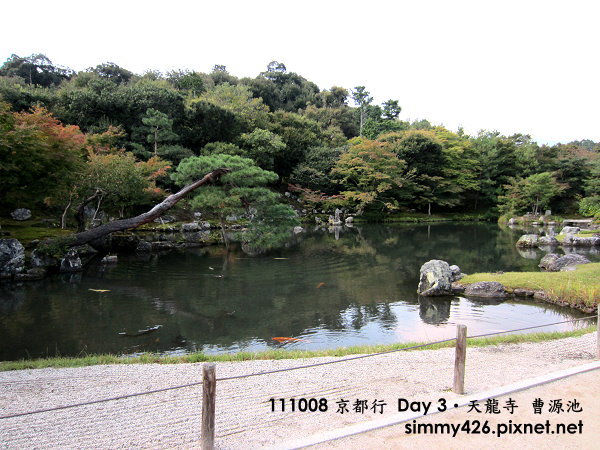 天龍寺 曹源池(2).jpg
