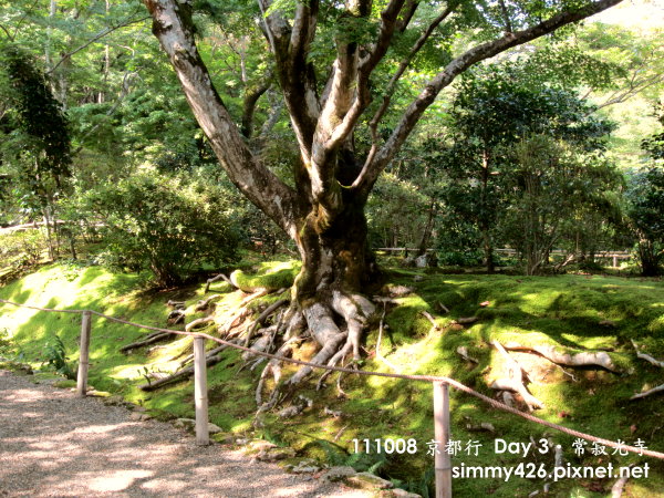 常寂光寺(4).jpg