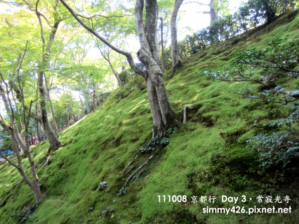 常寂光寺(8).jpg