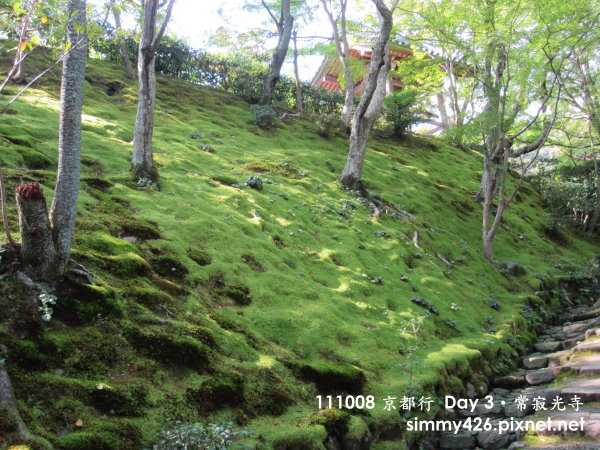 常寂光寺(10).jpg