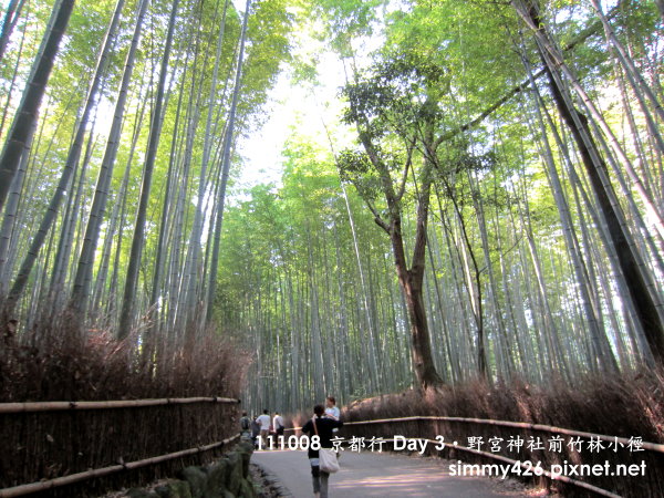 野宮神社前竹林小徑(2).jpg