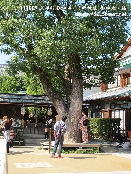晴明神社 御神木‧楠(1).jpg