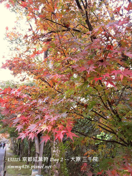 三千院(4) 三千院(4)
