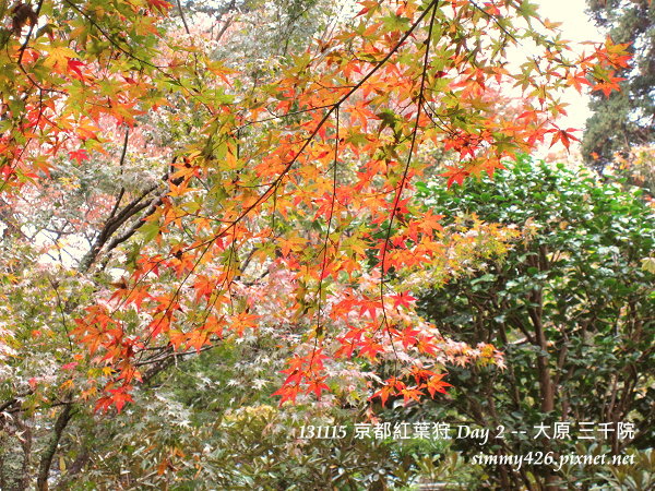 三千院(16) 三千院(16)