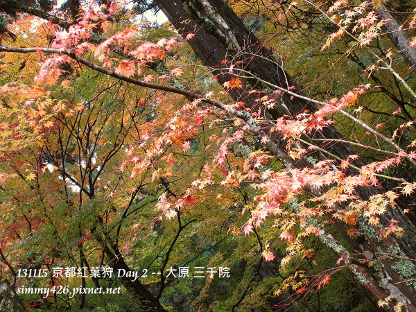 三千院(21) 三千院(21)