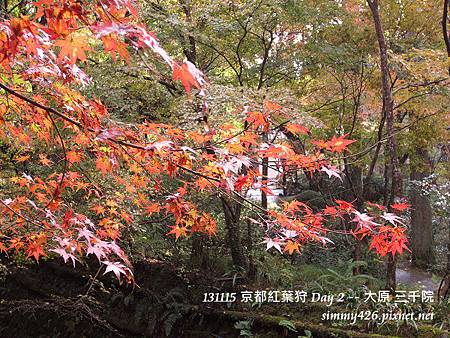 三千院(43) 三千院(43)