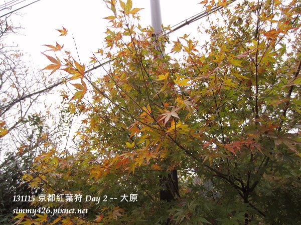 大原(2) 大原(2)