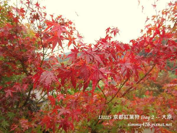 大原(4) 大原(4)