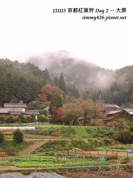 大原(14)