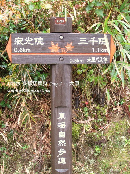 大原(18) 大原(18)